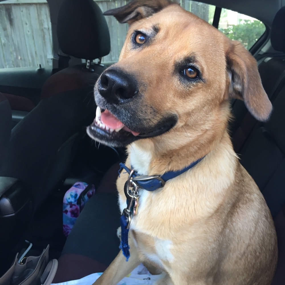 Meet your Posher, Shaley